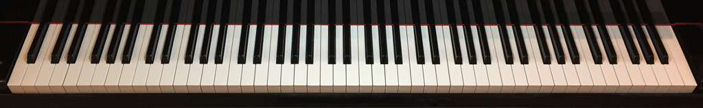 Piano Keyboard image